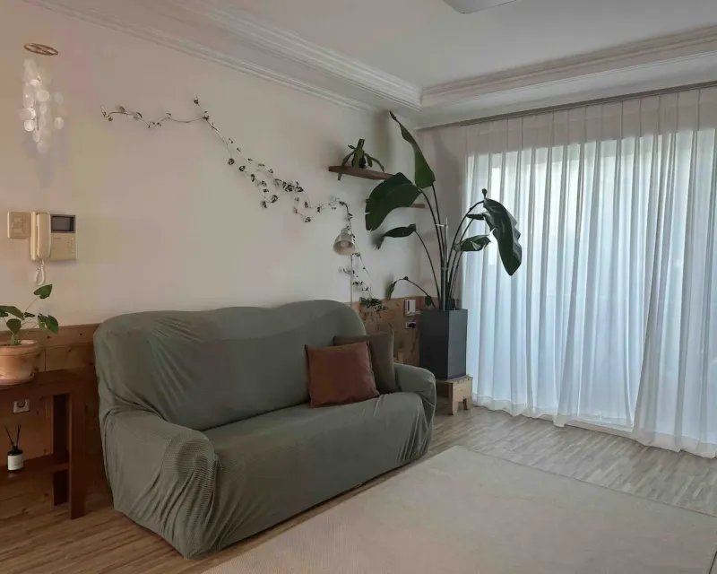 [Yangsan] Plant House 6