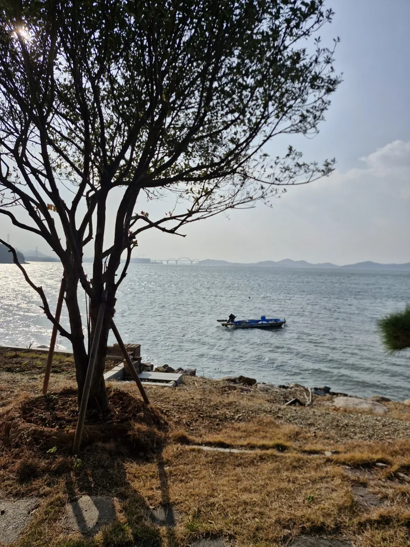[Muan] Ocean View House with a Yard 17