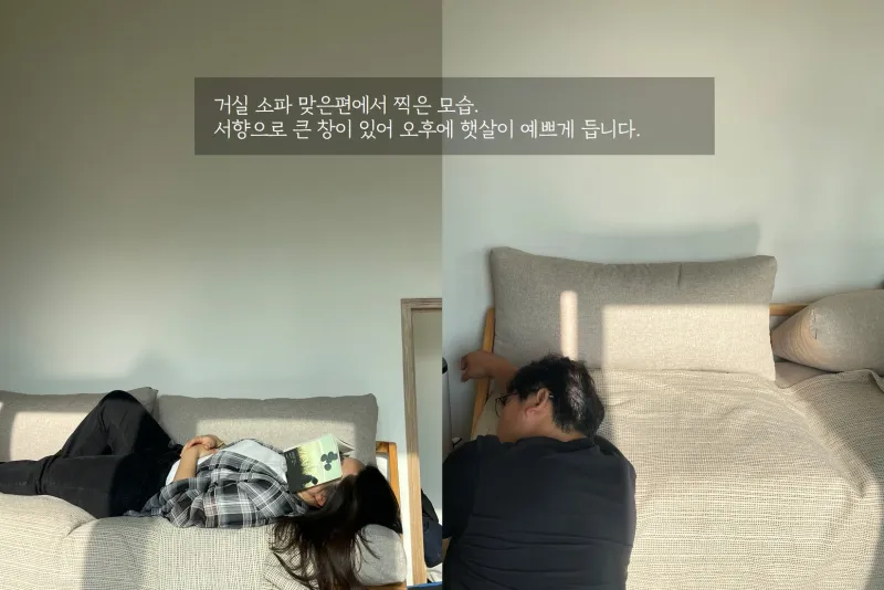[Daejeong, Seogwipo] A completely private house with a yard all to itself, a green jacuzzi, and a private rabbit. 33