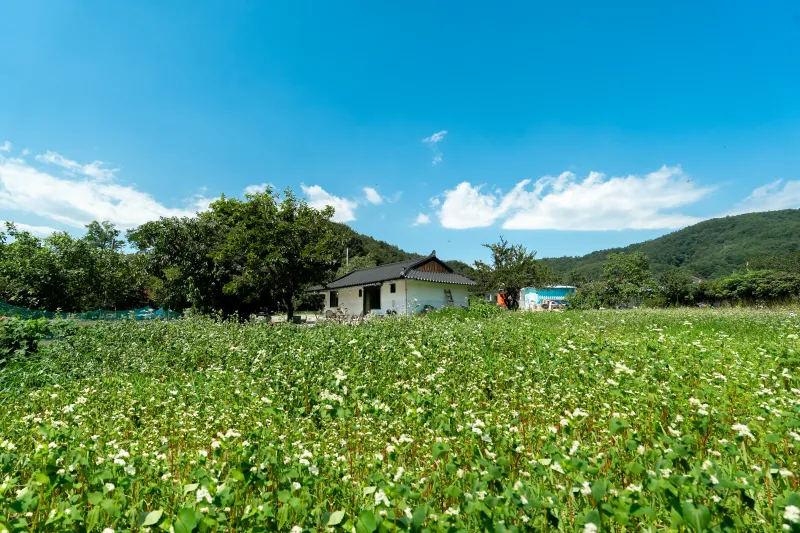 [Yangyang] A lovely 3-room country house 5 minutes from Hajodae 28