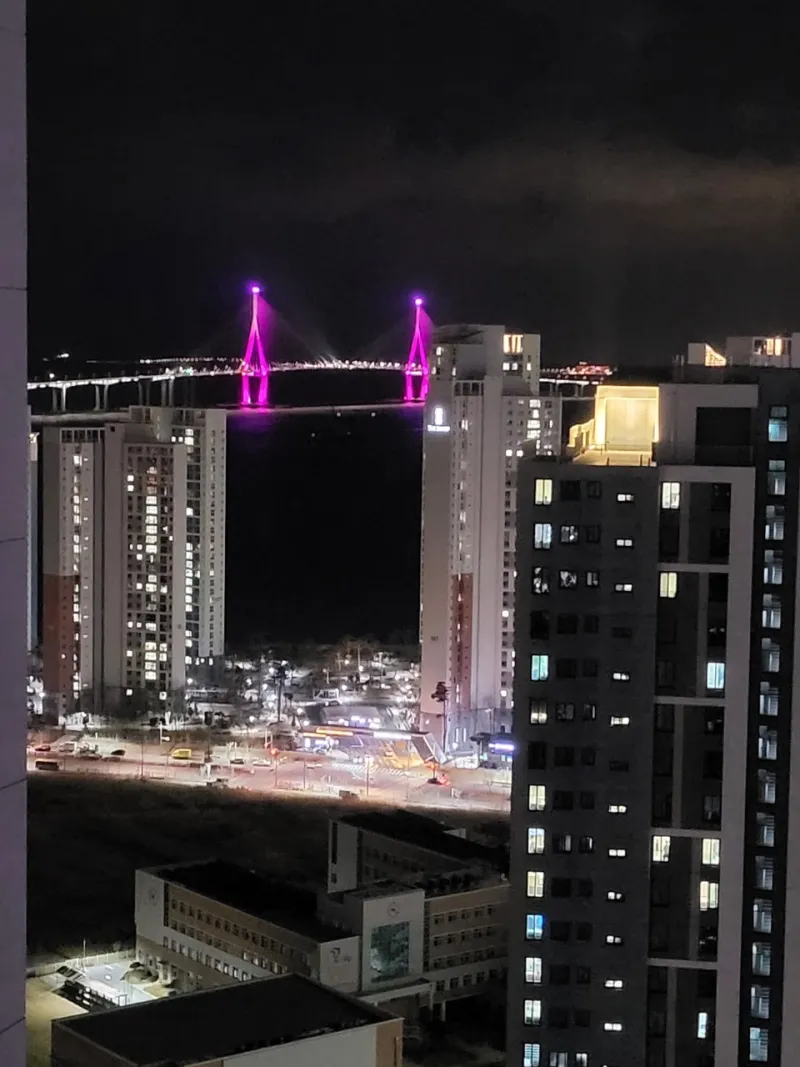 [Yeonsu, Incheon] Awesome Surround View and Delicious Memories of Songdo with Your Dog/Lover/Family 20