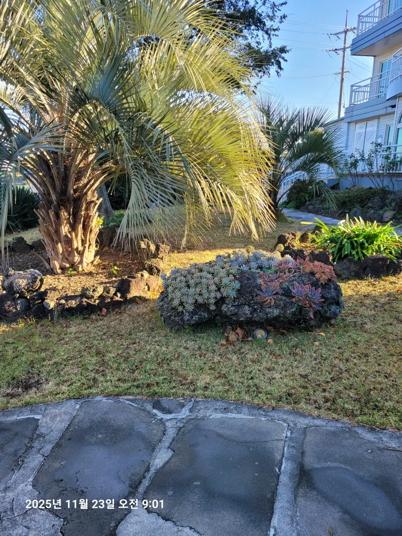 [Hallim, Jeju] Ocean view newly built duplex 3-room independent house C building 72