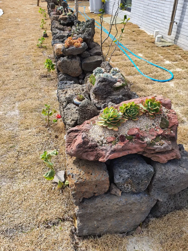[Hallim, Jeju] Private Pension with Ocean View A 75