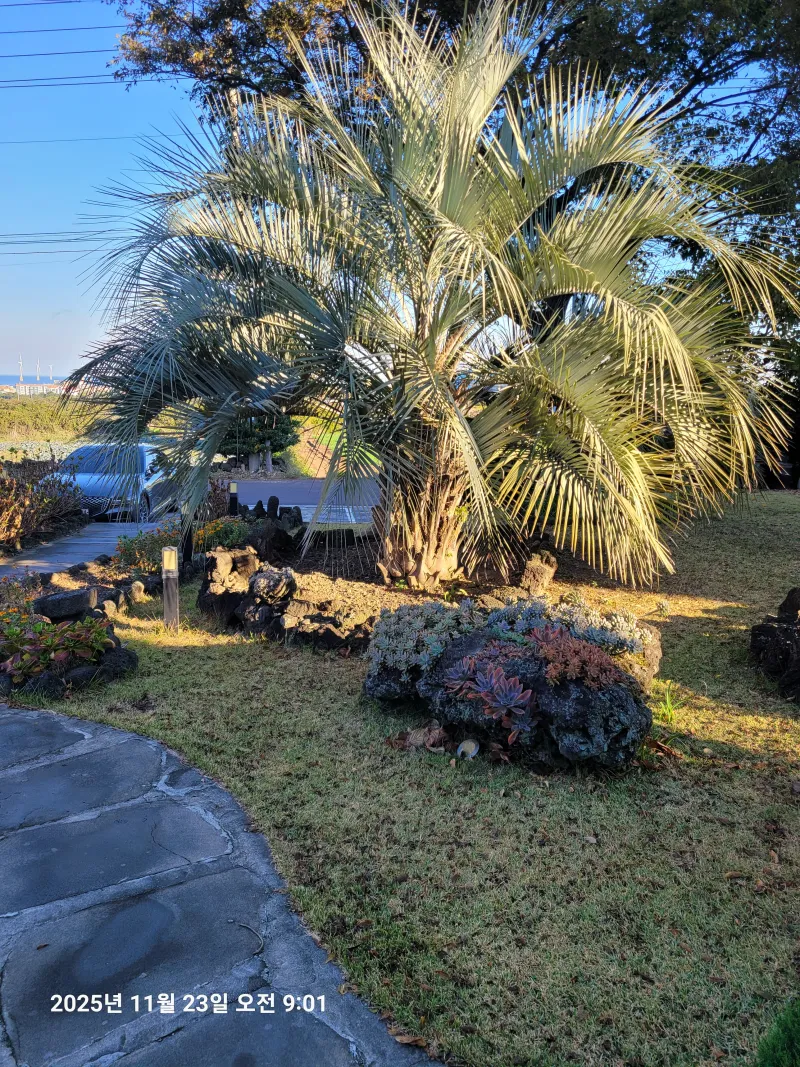 [Hallim, Jeju] Private Pension with Ocean View A 77