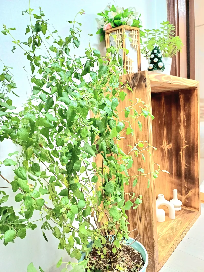 [Gwangjin, Seoul] Yongmasan Healing Stay 17