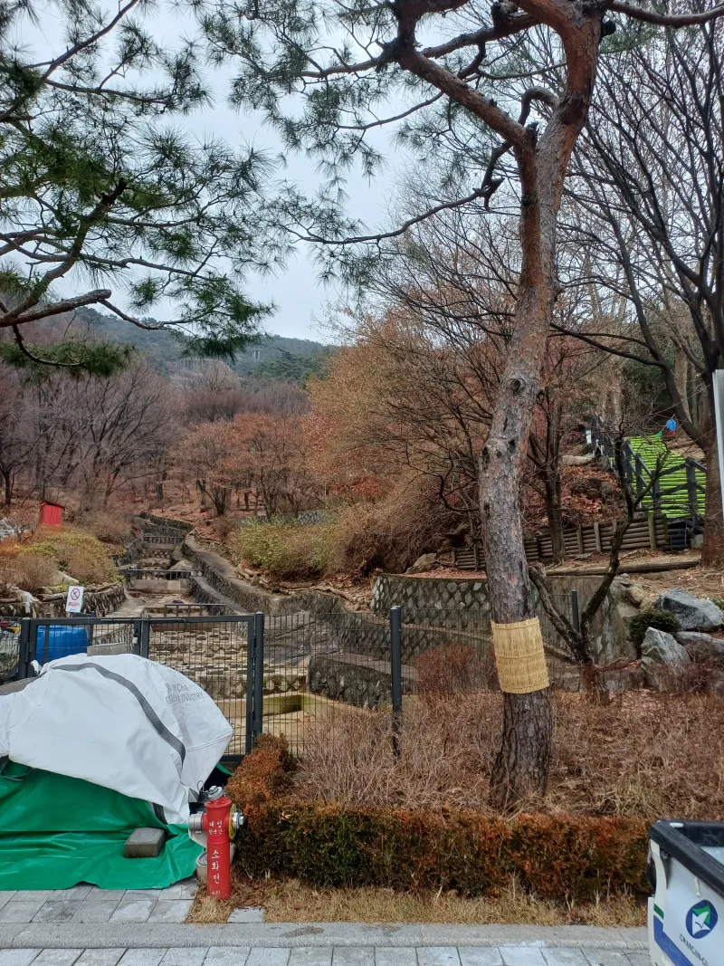 [Gwangjin, Seoul] Yongmasan Healing Stay 34