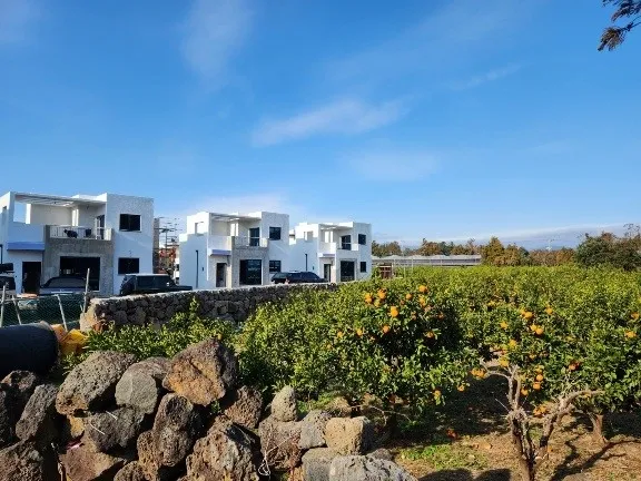 [Namwon, Seogwipo] AA Jeju Tangerine Field Viewing Private House on Olle Trail 21