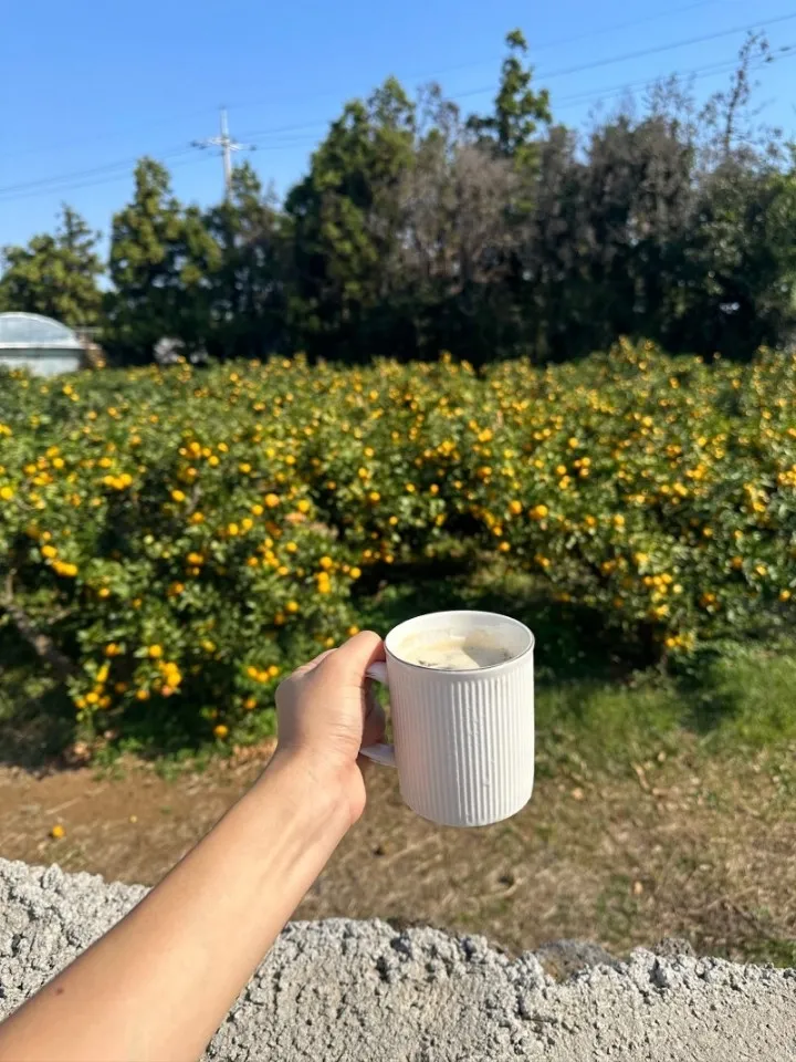 [Namwon, Seogwipo] AA Jeju Tangerine Field Viewing Private House on Olle Trail 22