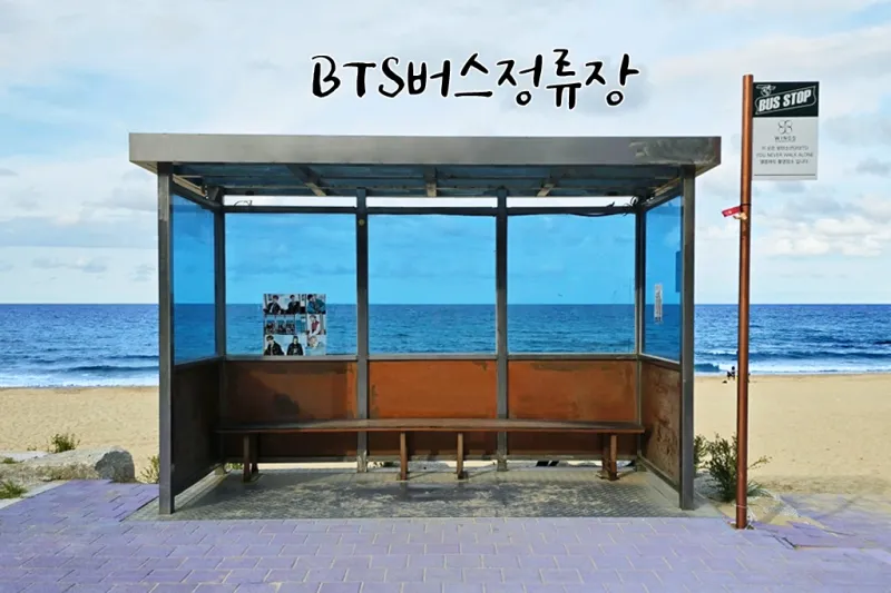 [Gangneung][Gangneung, Gangwon-do] Jumunjin High-Rise Panoramic Ocean View & Sunrise from Your Room 14