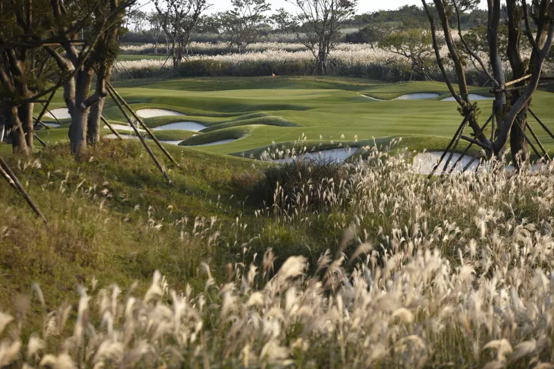 [Hallim, Jeju] Jeju's Luxury Resort and Golf Course #Saebyeol Oreum 20