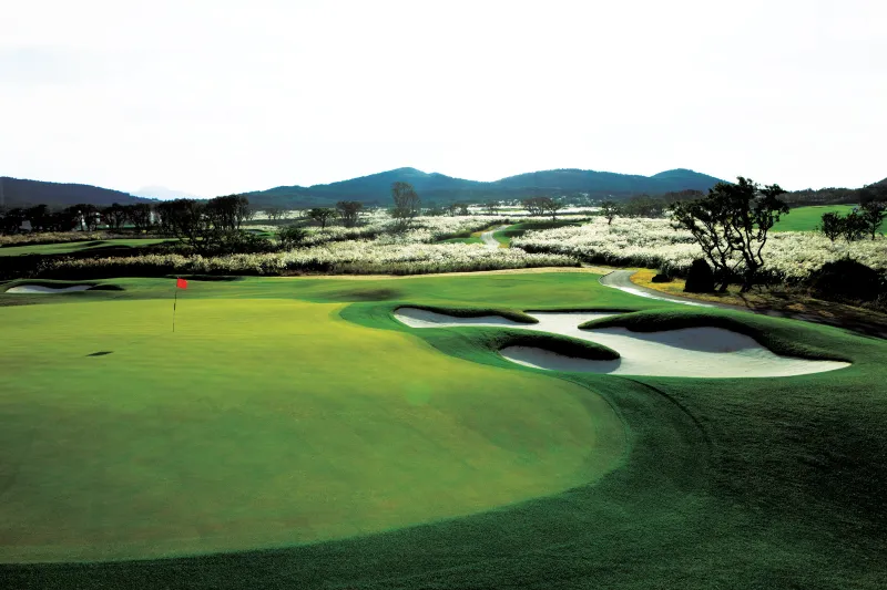 [Hallim, Jeju] Jeju's Luxury Resort and Golf Course #Saebyeol Oreum 21