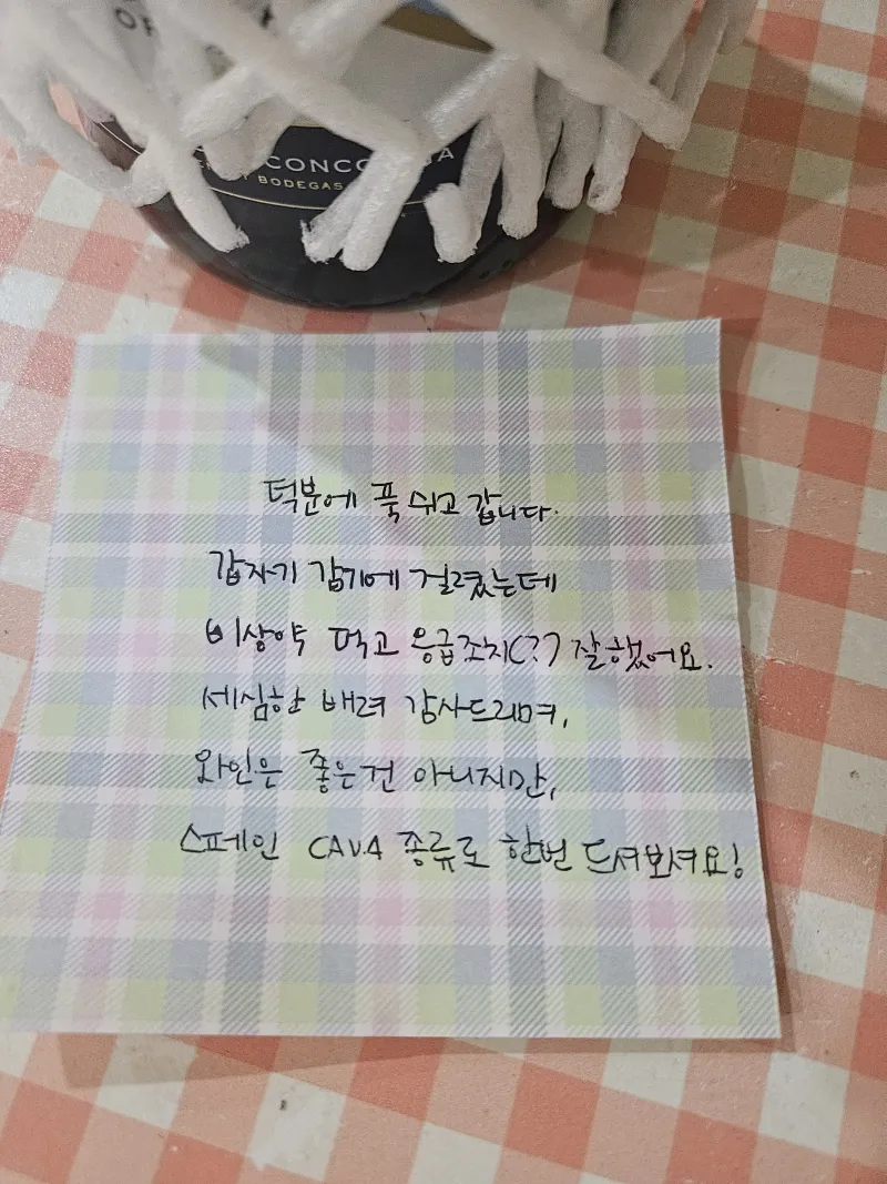 [제주 구좌] 시골마을 돌담집, 오션뷰와 자연을 느끼는 감성독채 42