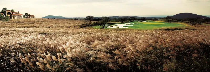 [Hallim, Jeju] Jeju's Luxury Resort and Golf Course #Saebyeol Oreum 22