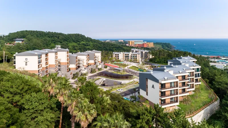 [Saekdal-dong, Seogwipo] Jeju Jungmun Beach #FamilyHealingTrip #PetsAllowed 25