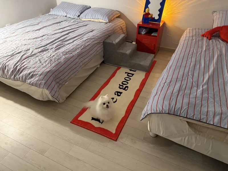 [Jinju] Pet-friendly three-room detached house 3