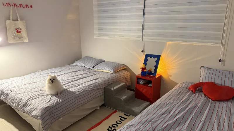 [Jinju] Pet-friendly three-room detached house 2
