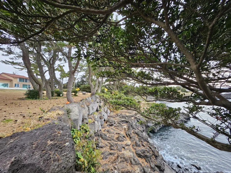 [Namwon, Seogwipo] A private house with the sea right in front of you 31