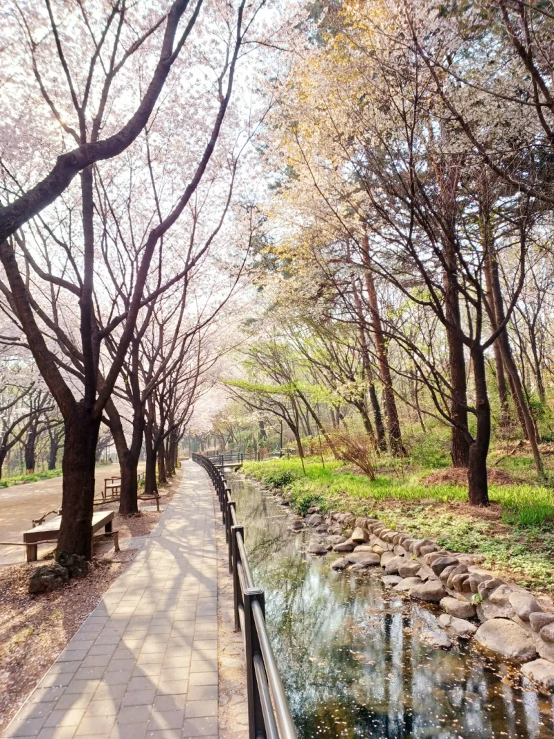 [Seongdong, Seoul] Clean first-floor two-room apartment 30 seconds from Seoul Forest Park, Ttukseom Station, Seoul Forest Station 36