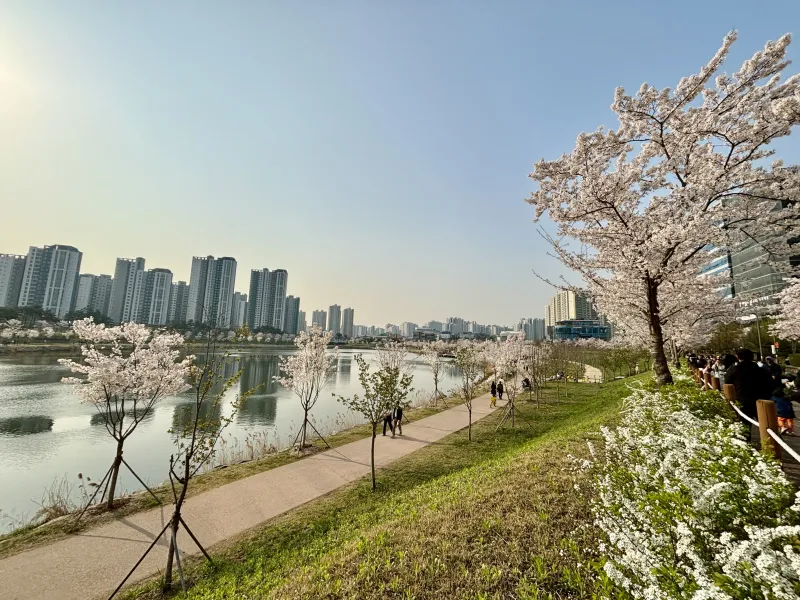[경기 하남] 미사역 무료 피트니스 북카페 제공 14