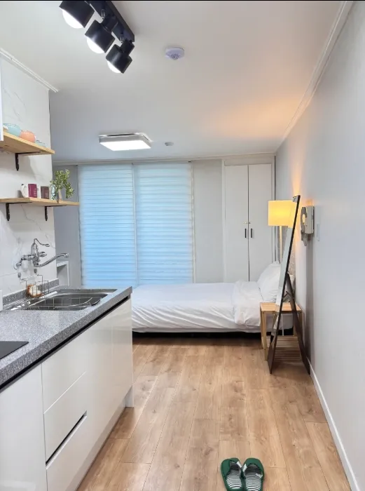 Dunsan-dong Transit-Friendly One-Bedroom Apartment