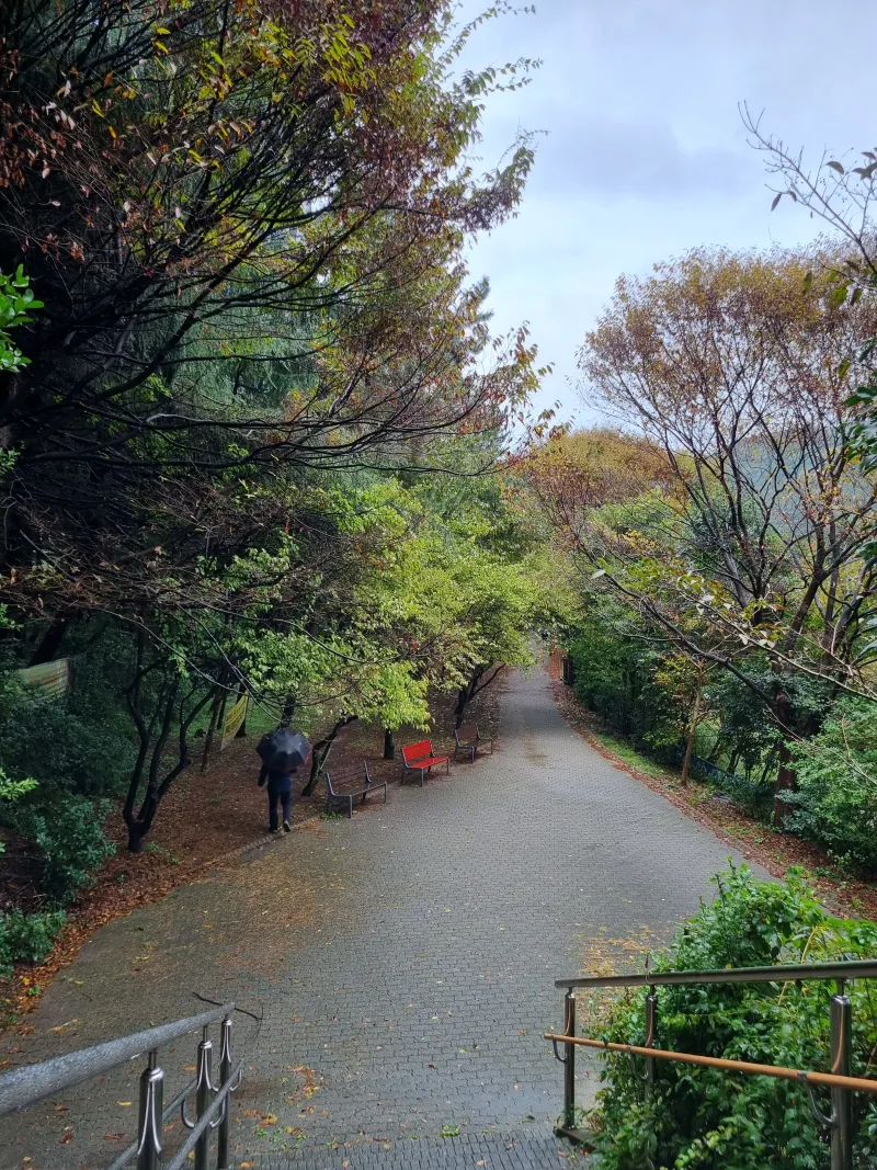[Haeundae, Busan] 1st Floor, Apartment in a Forest Area near Sinhaeundae Station 14