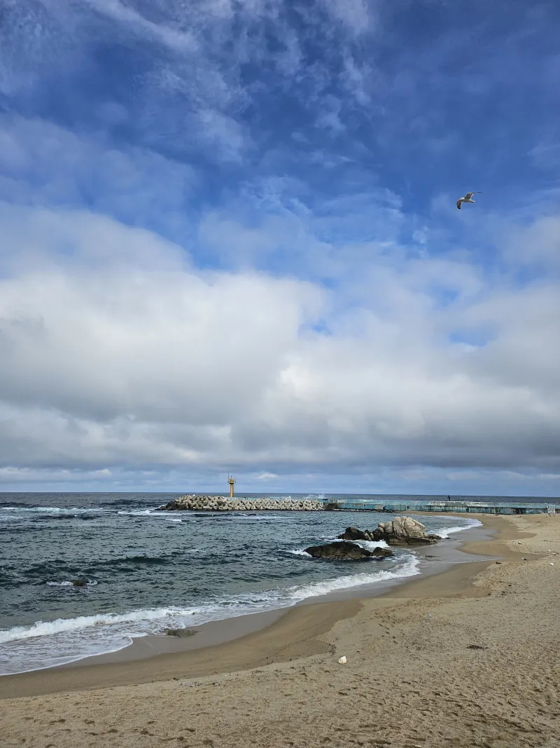 [Gangneung] <September 20% Discount Special> Yeongjin Beach View Restaurant☆High-rise Ocean View☆Open Terrace 40