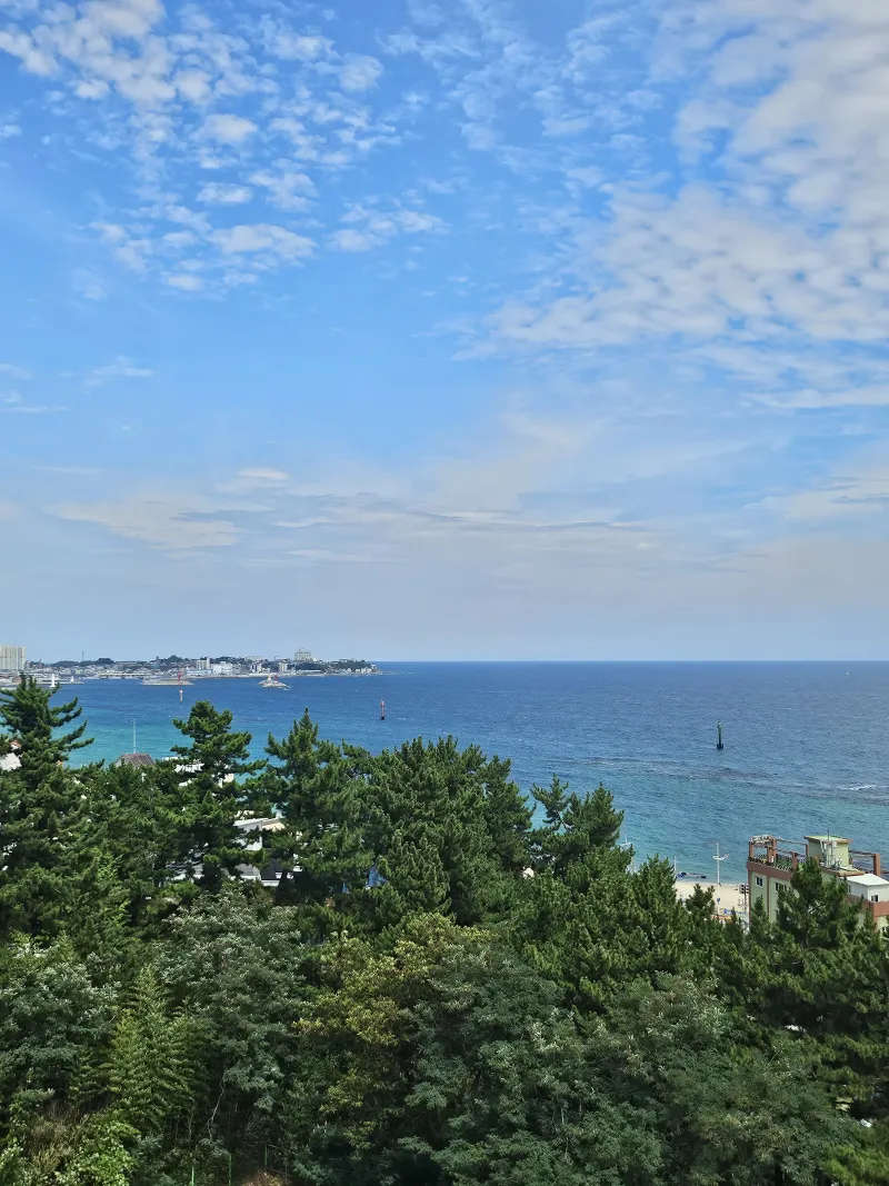 [Gangneung] <September 20% Discount Special> Yeongjin Beach View Restaurant☆High-rise Ocean View☆Open Terrace 41