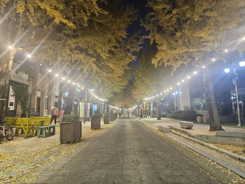 [전남 순천] 문화의 거리 도보3분 20