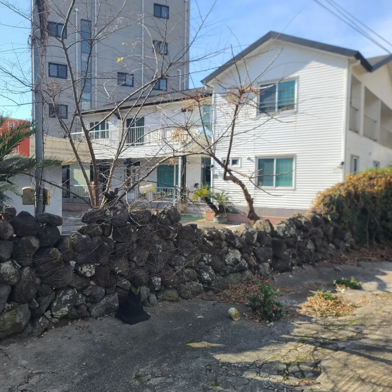 [Jungmun-dong, Seogwipo] Jungmun Downtown Lovely No. 1 12