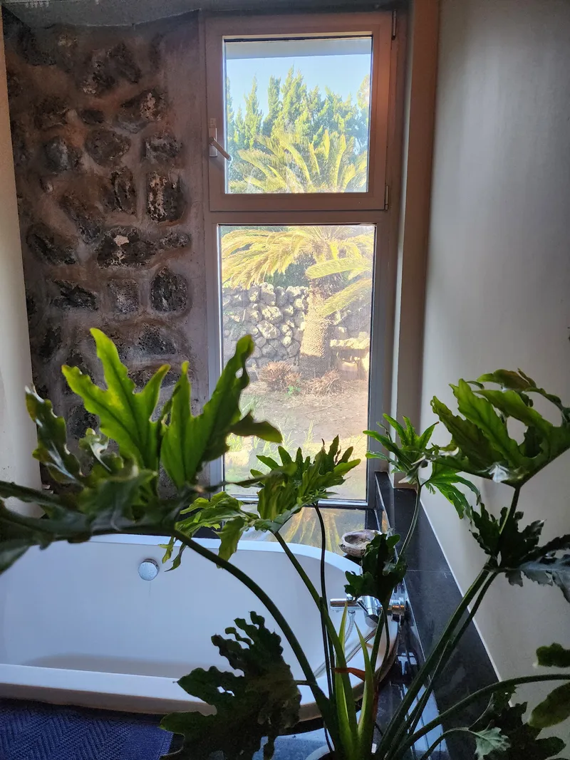 [Gujwa, Jeju] Jeju Rakhado / A House Loved by Artists 10