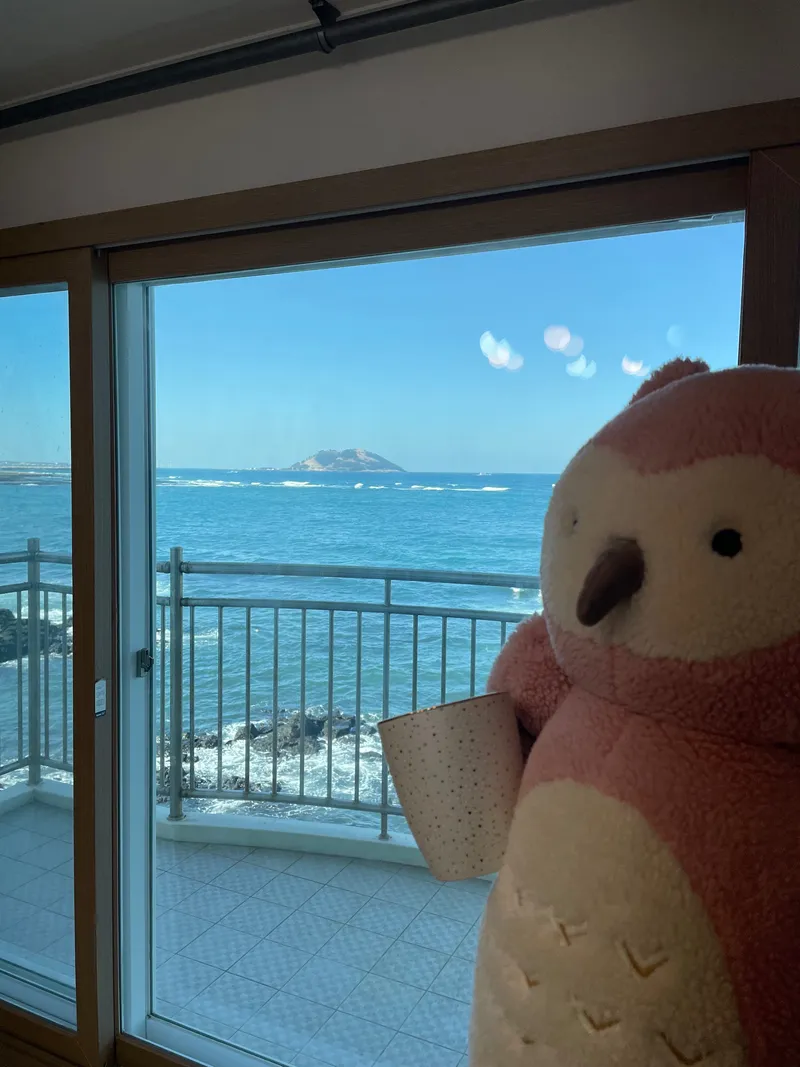 [Hallim, Jeju] Yeonga Full Ocean View with Biyangdo Island 15