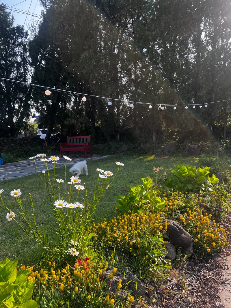 [Hallim, Jeju] Dog-friendly private house with a Jeju vibe (4 rooms, 6 people, BBQ) 22
