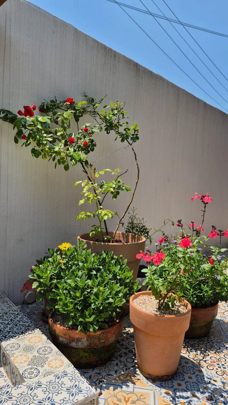 [Jocheon, Jeju] A two-room detached house in a quiet village 5 minutes' walk from Hamdeok Beach 22