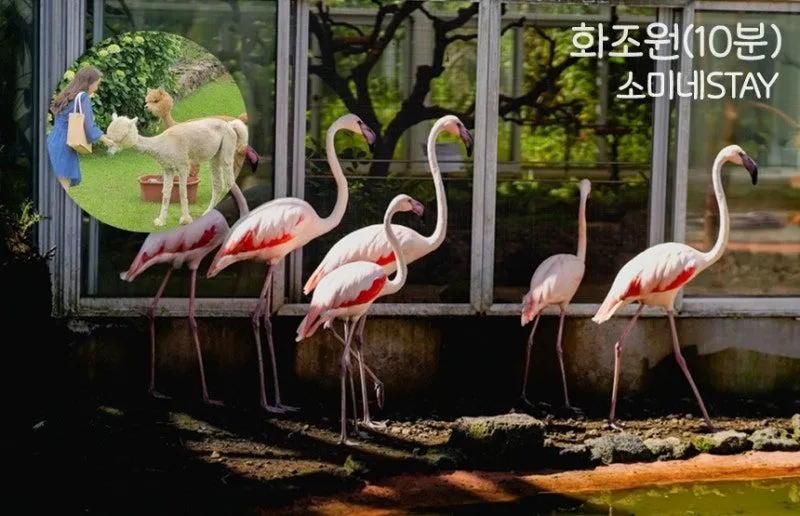 [Aewol, Jeju] Jeju's vintage-feeling independent house with good transportation 38