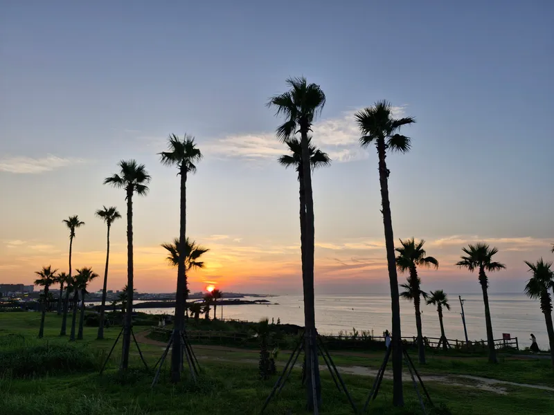 [Jocheon, Jeju] Cypress-tree lodging near the Hamdeok sea 44
