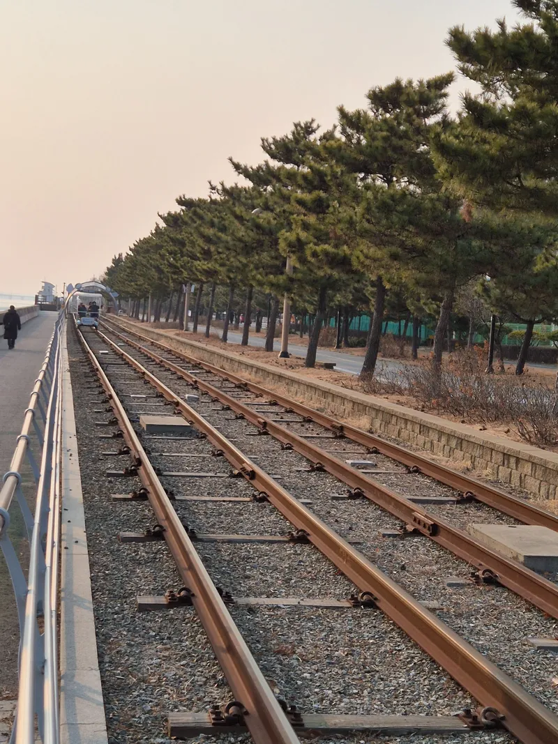 [Yeongjong, Incheon] 1 minute walk from Incheon Yeongjong Sky City Central Shopping Center Station 20
