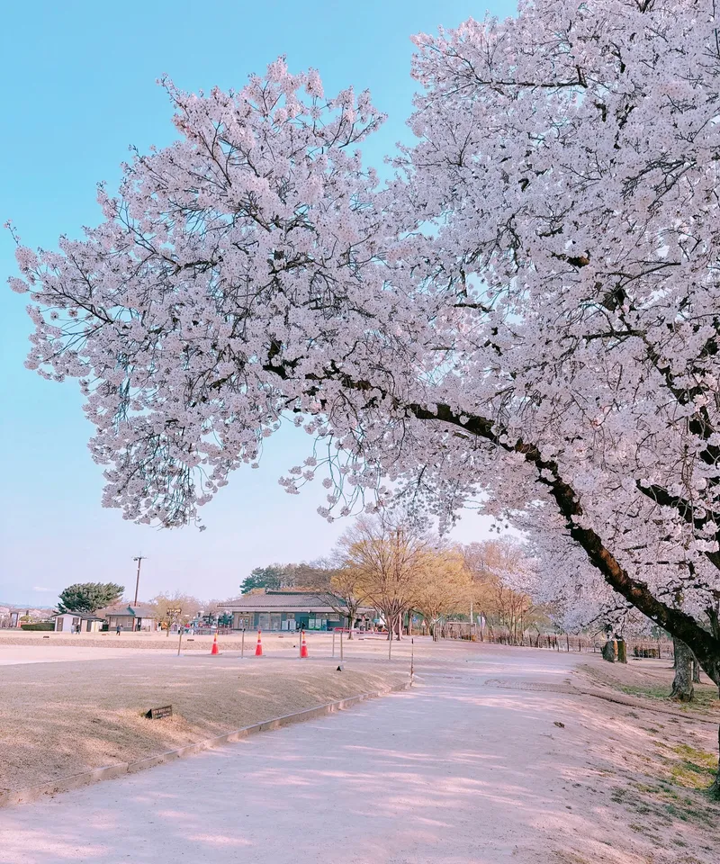 [Gyeongju] Two-room apartment near Hwangridan-gil 32
