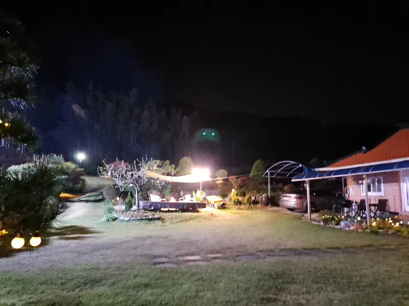 [전남 곡성] 섬진강 기차마을 대나무숲 마당넓은 애견동반 오직 한팀 펜션 111