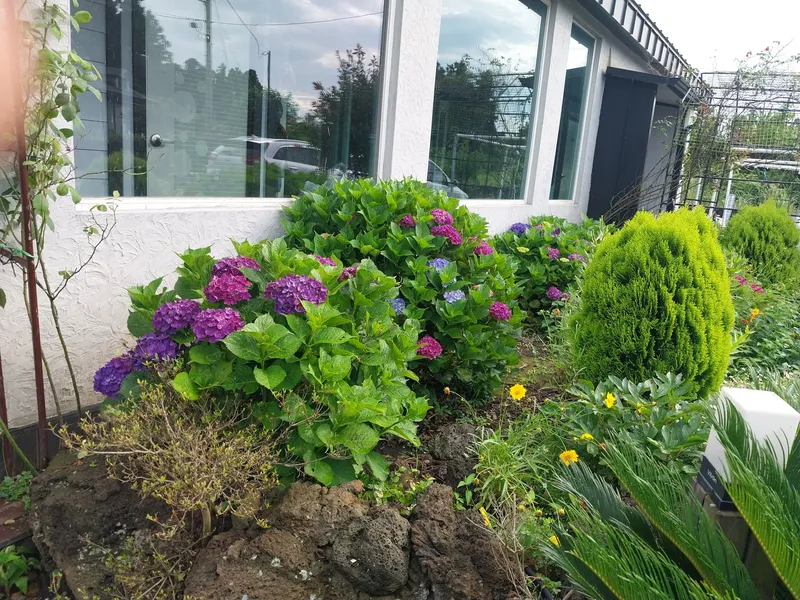 [Seongsan, Seogwipo] One room 103 in Seongil-ro, Seogwipo-si, with a beautiful garden 12
