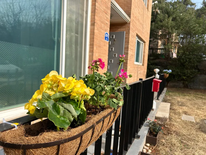 [Dangjin] Dangjin, South Chungcheong Province) Morning on the terrace/Villa in a country house/Room 5/1 hour from Seoul/12 minutes from the sea 70
