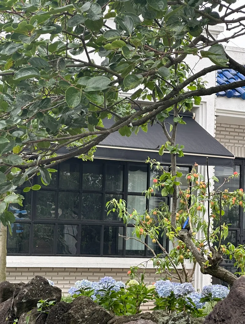 [Aewol, Jeju] Private house stay with a yard_A house where the charm of Jeju and the comfort of home coexist 45