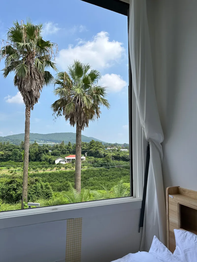 [Namwon, Seogwipo] Seogwipo Namwon Pyeoseon Sea 10 minutes Dog-friendly independent pool villa 6