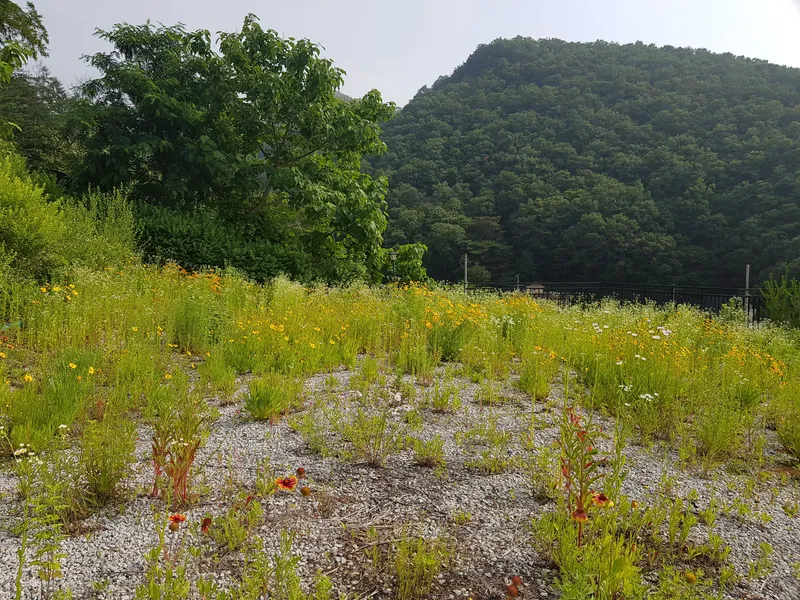 [경기 남양주] 북한강과 산과 마을이 한눈에 조망되는 언덕 위 소형 독채 13
