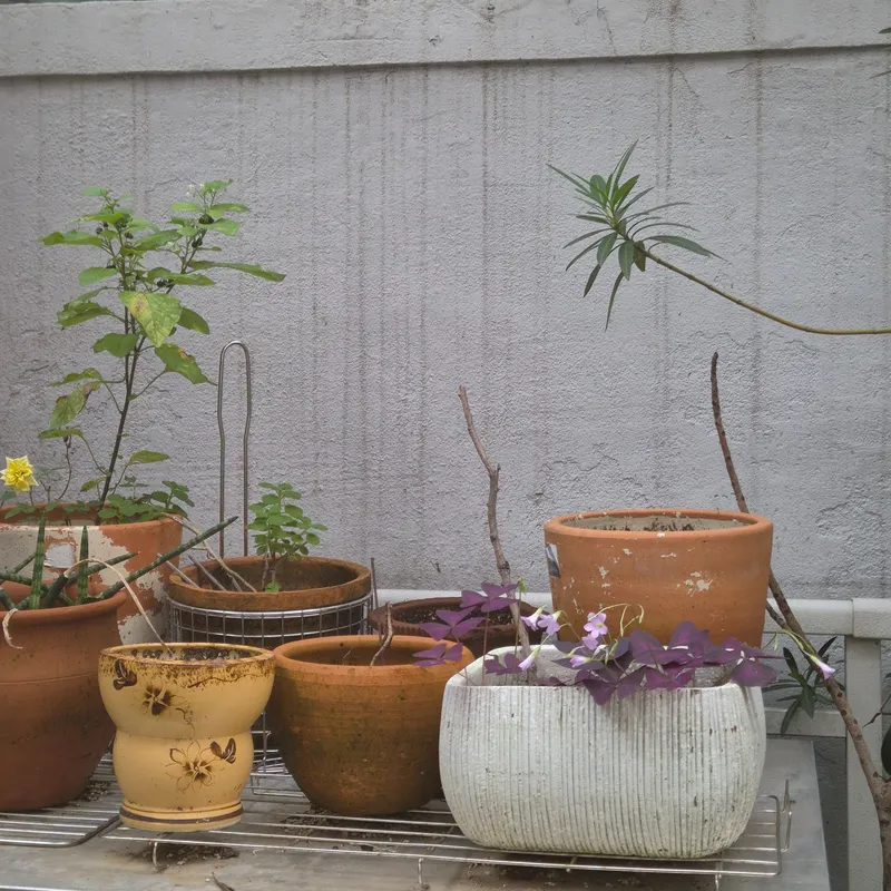 [Gangbuk, Seoul] Private House_Work & Life in the Garden 26