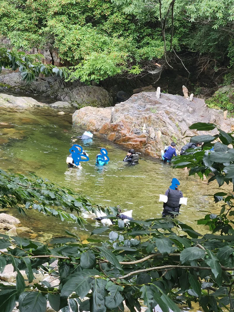 [Yeongdong] Clean valley upstream of Mulhan Stream/Rural life/Best forest area 14