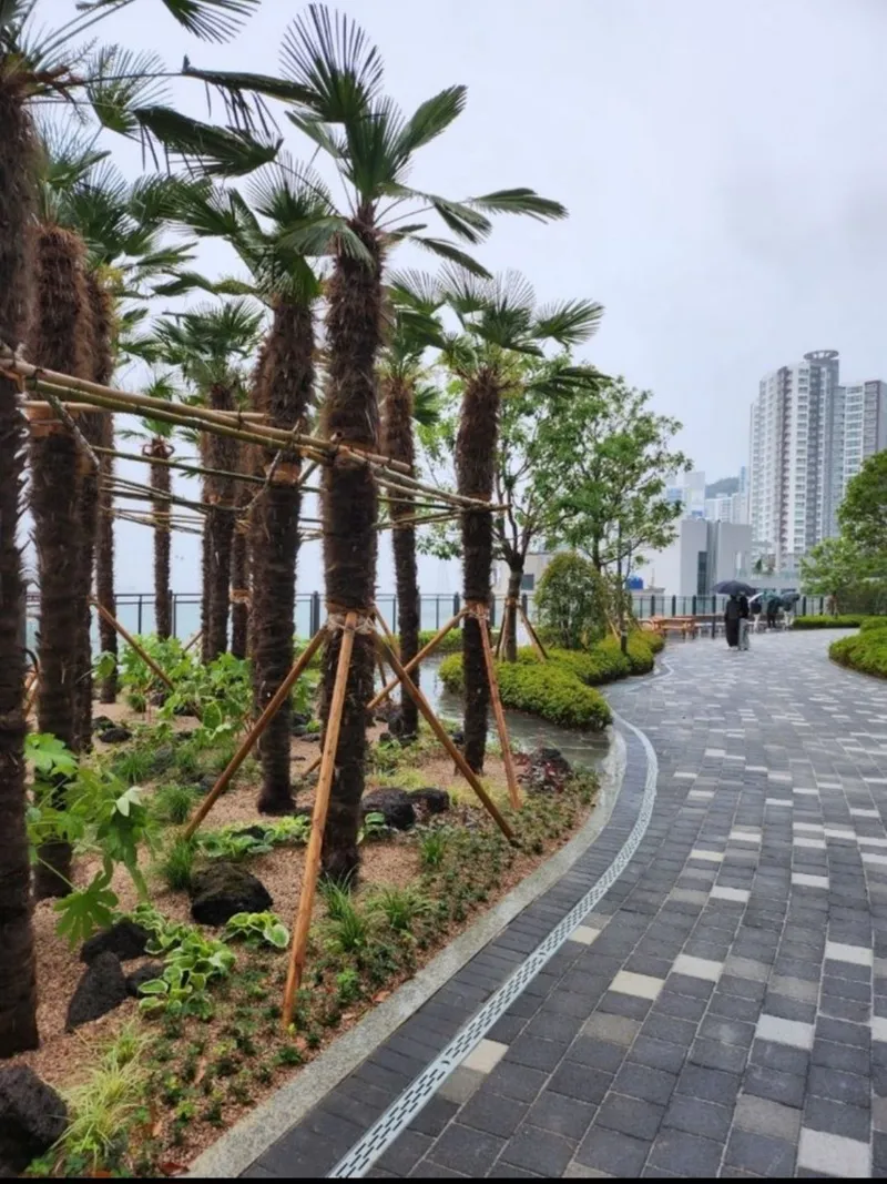 [Seo-gu, Busan] Songdo Ipyeonhan The First Beach View 24