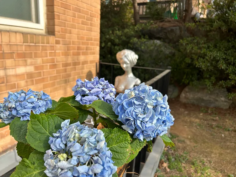[Dangjin] Dangjin, South Chungcheong Province) Morning on the terrace/Villa in a country house/Room 5/1 hour from Seoul/12 minutes from the sea 45