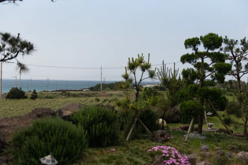 [제주 한경] 판포포구 도보 10분 오선뷰 숙소 39