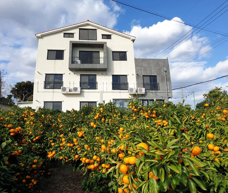 [Namwon, Seogwipo] Jeju Island Wimi Pension #15Days #1Month #1Year 36