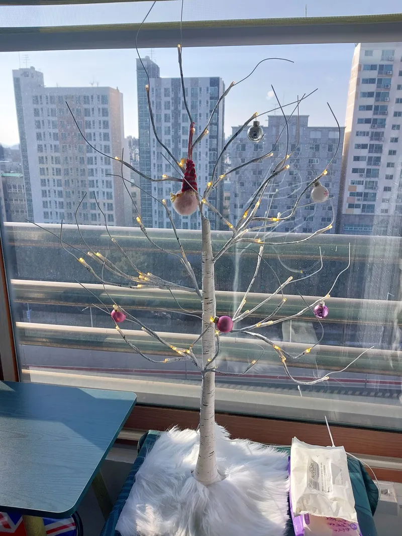[Seo-gu, Daejeon] Dunsan-dong♡Apartment♡A cozy forest resting place in the city center 23